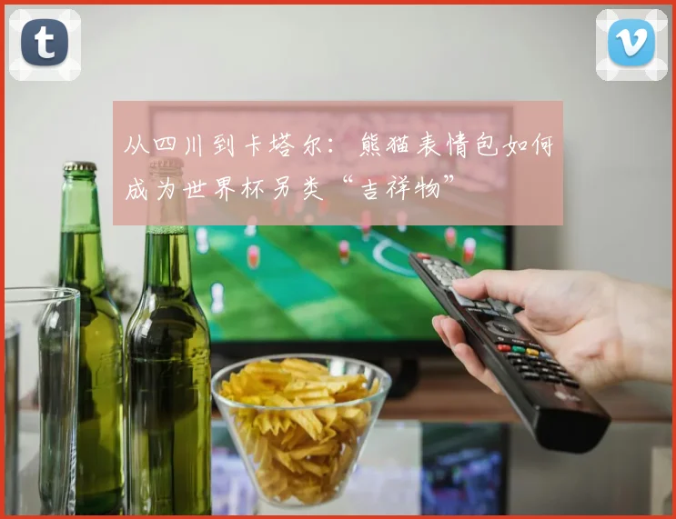 从四川到卡塔尔：熊猫表情包如何成为世界杯另类“吉祥物”