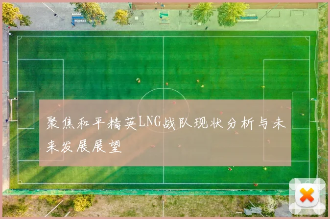 聚焦和平精英LNG战队现状分析与未来发展展望