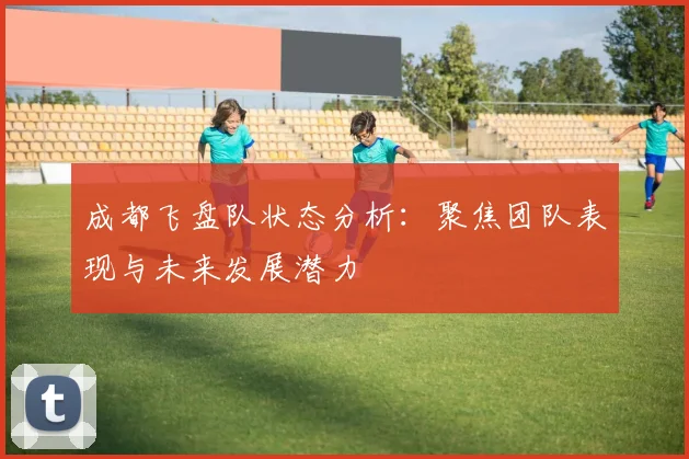 成都飞盘队状态分析：聚焦团队表现与未来发展潜力